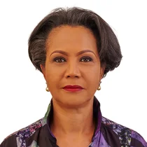 Mrs. Adenike Ogunlesi