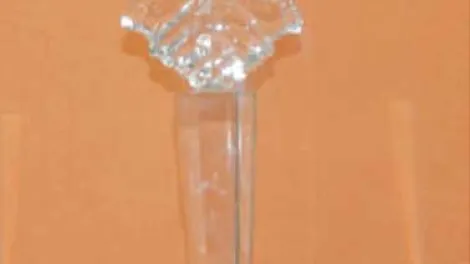 BJAN 2015 Excellence Awards for Corporate Social Responsibility Initiative