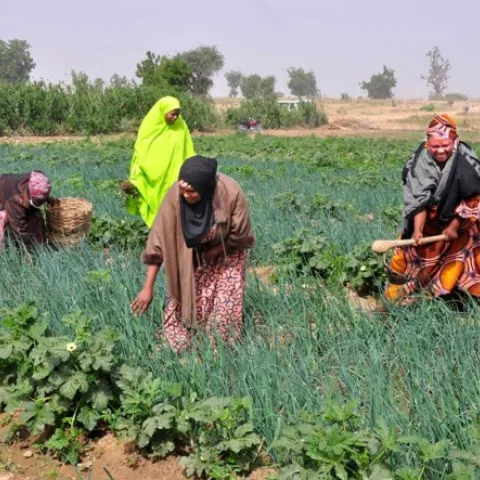 ashaka-agric-ecology-program-1.jpg